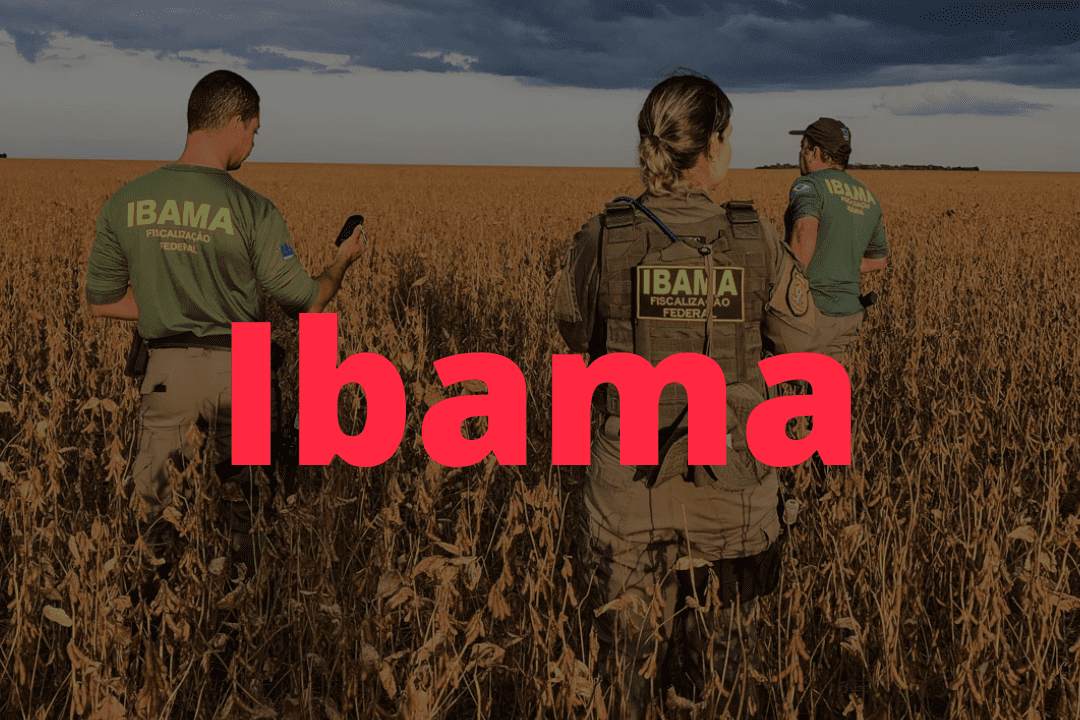 Concurso Ibama: banca organizadora contratada até setembro, confira