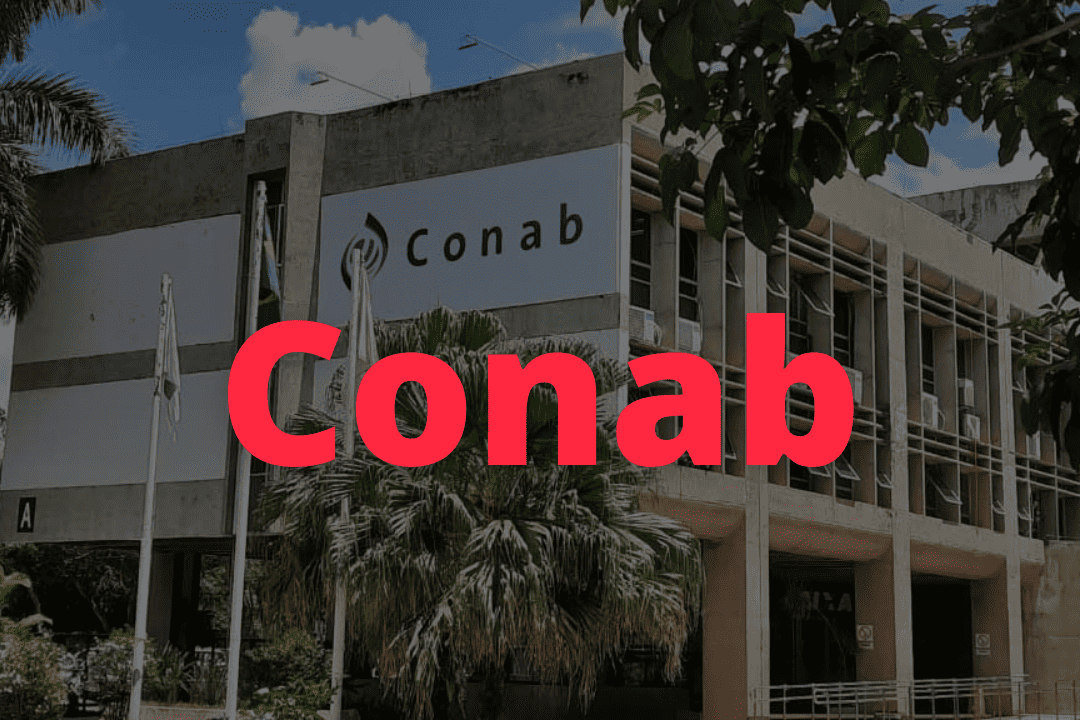 Cona B Concurso Conab: novo edital tem publicação prevista para março – IMP ...