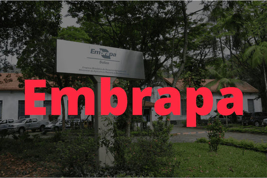 Concurso Embrapa: contrato com Cebraspe é publicado; edital iminente!