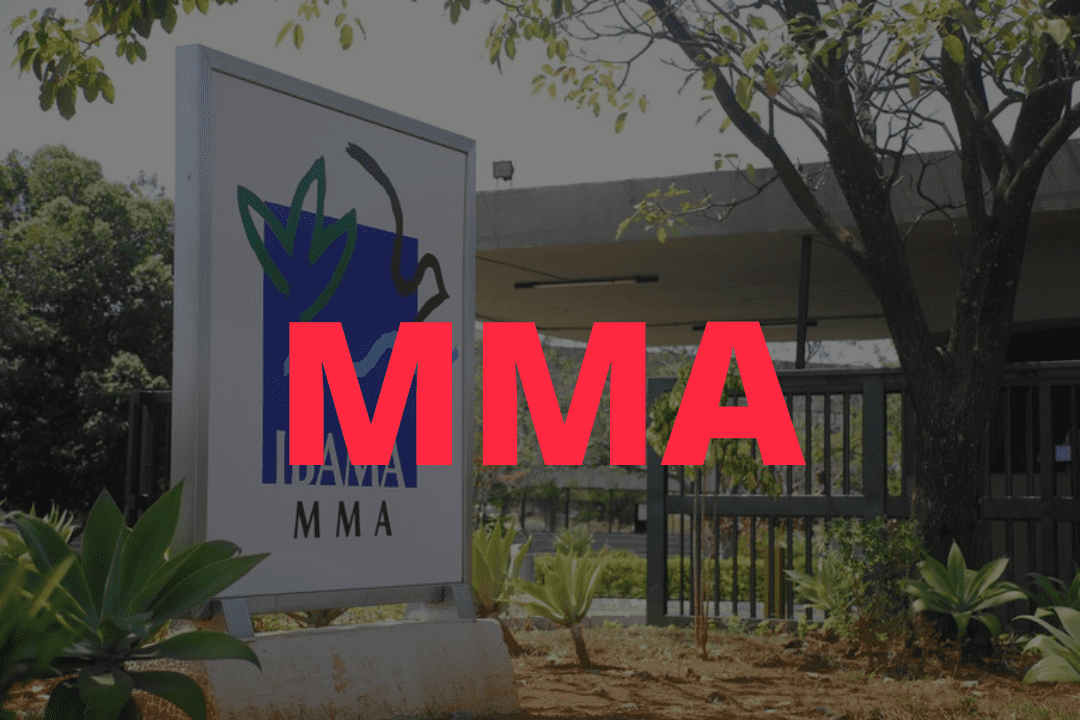 Concurso MMA: 460 vagas na área ambiental autorizadas por ministra